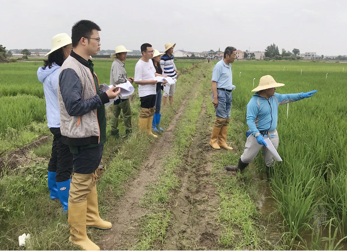 问鼎国际国际自主立异新品迎来年内首轮大考