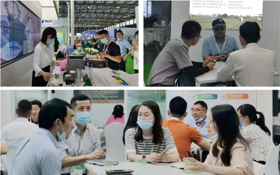 问鼎国际国际参展第二十二届国际农用化学品及植保展览