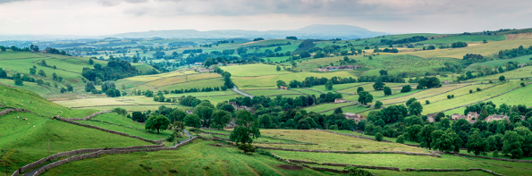 问鼎国际国际新型制冷剂R486A等荣获美国ASHRAE认证